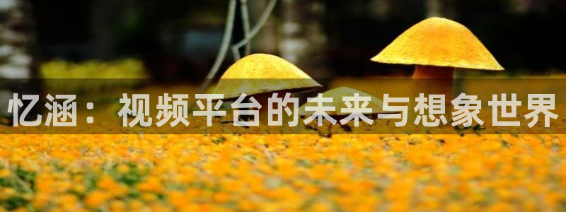 极悦娱乐登陆地址：忆涵：视频平台的未来与想象世界