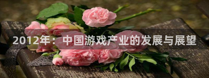 极悦娱乐2登录：2012年：中国游戏产业的发展与展望