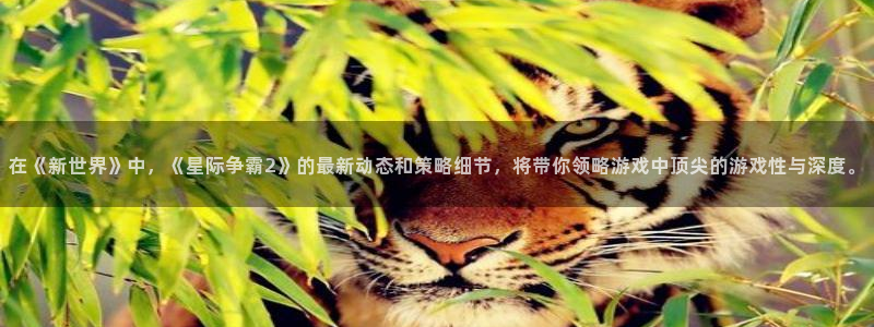极悦娱乐4主管：在《新世界》中，《星际争霸2》的最新动态和策
