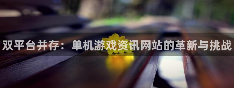 极悦娱乐官方注册登录：双平台并存：单机游戏资讯网站的革新与挑