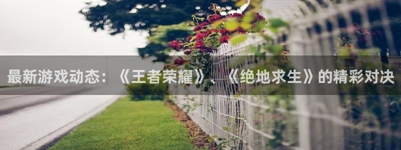 极悦娱乐app：最新游戏动态：《王者荣耀》、《绝地求生》的精
