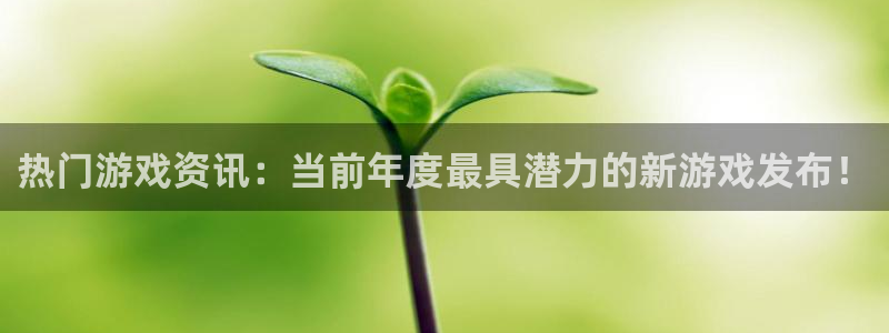 极悦娱乐平台登陆：热门游戏资讯：当前年度最具潜力的新游戏发布