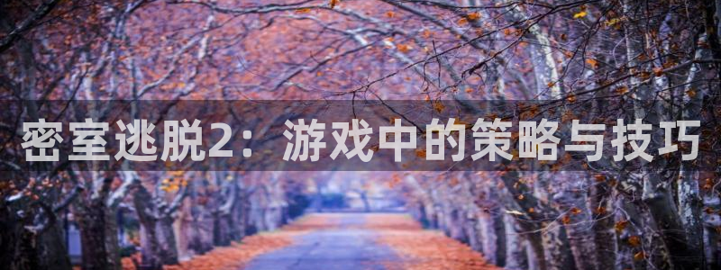 极悦娱乐下载链接