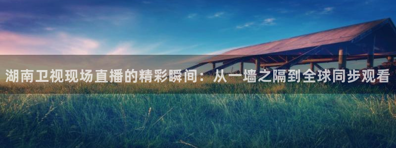说球帝nba直播吧：湖南卫视现场直播的精彩瞬间：从一墙之隔到全球同步观看