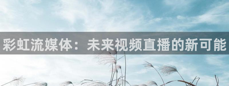 说球帝足球直播在线观看免费：彩虹流媒体：未来视频直播的新可能