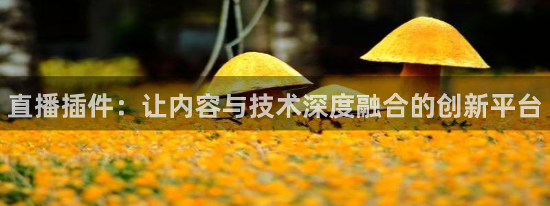 说球帝在线直播app下载：直播插件：让内容与技术深度融合的创新平台
