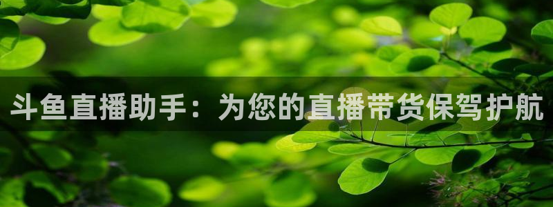 说球帝直播官方：斗鱼直播助手：为您的直播带货保驾护航